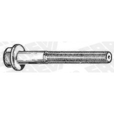 PERN.BAL.PIASTR.BISC.20X1,5X155-720219