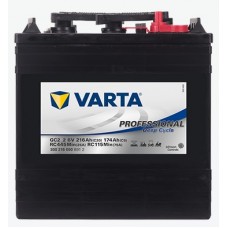 Batteria Varta Professional Deep Cycle 6 V 216 Ah-GC2_2...